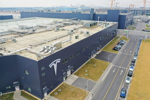 特稿 前沿產(chǎn)業(yè)因何集聚臨港——滴水湖畔的適宜空氣與土壤